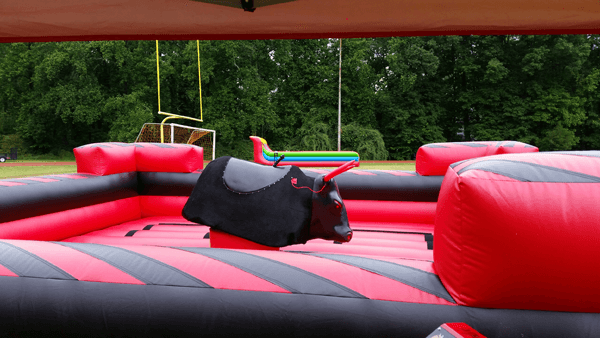 Mechanical bull rental Grayson GA